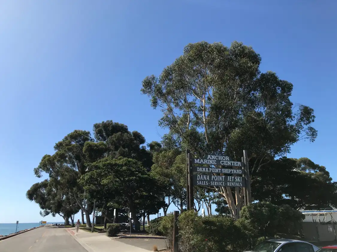 Hotels near Doheny State Beach