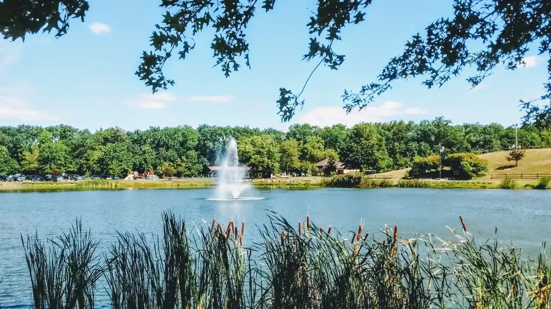 Hotels near Laurel Acres Park