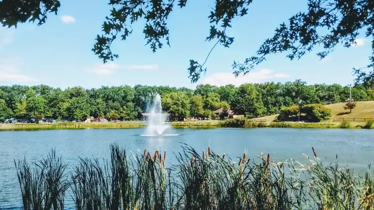 Courtyard Hotels in Mount Laurel