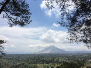 Gundaling Hill Top