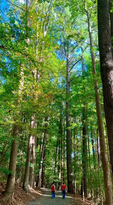 鄰近McDaniel Farm Park的酒店