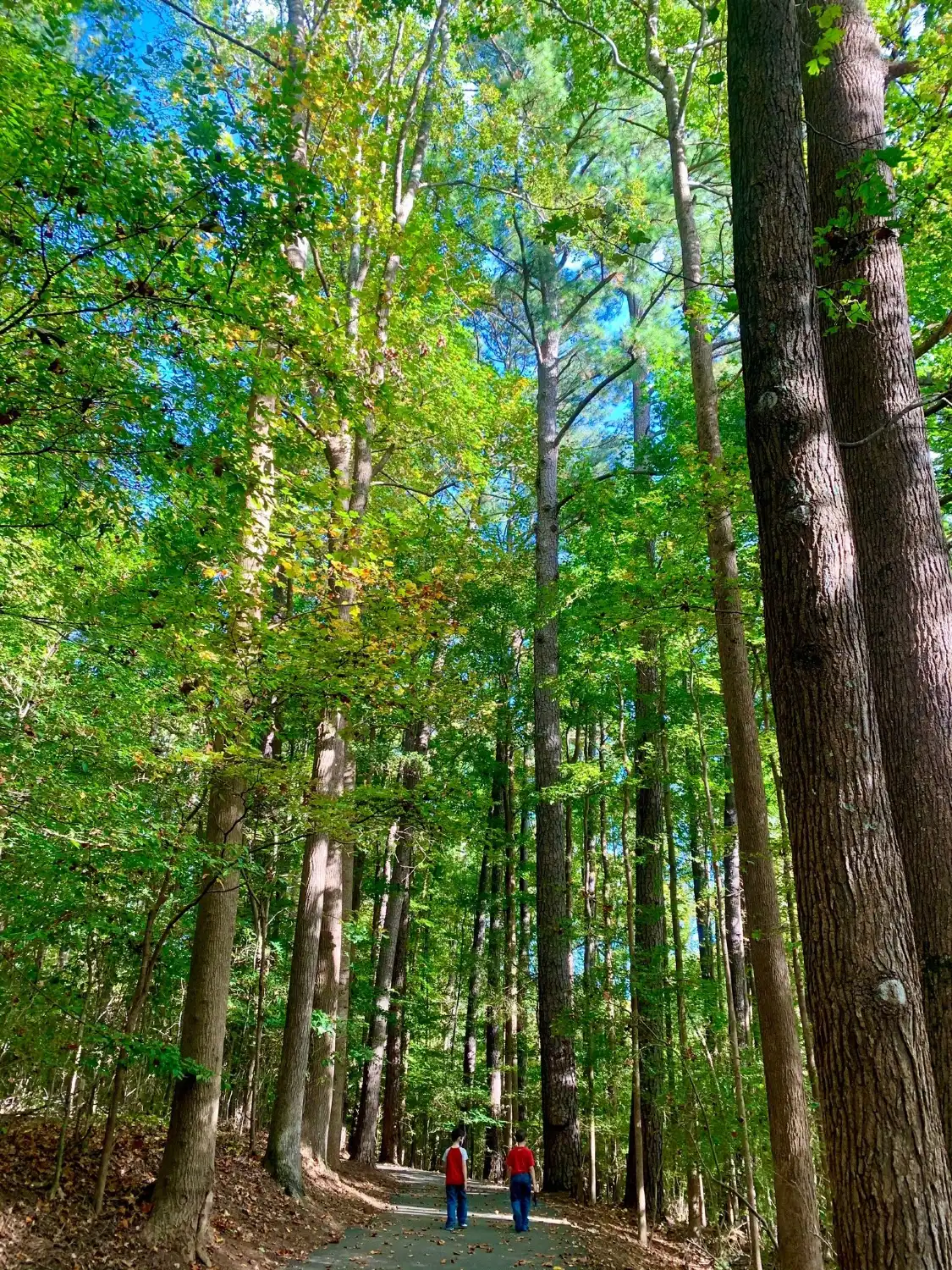 Hotels near McDaniel Farm Park