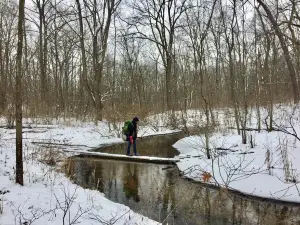 Fort Custer Recreation Area