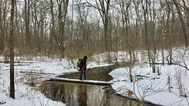 Fort Custer Recreation Area