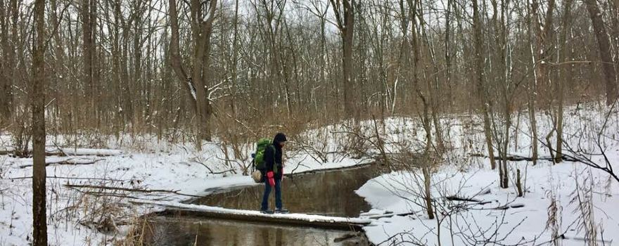 Fort Custer Recreation Area