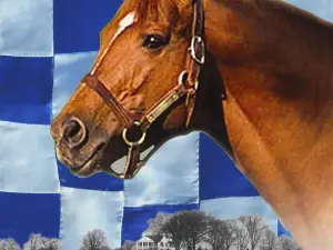 The Meadow Event Park