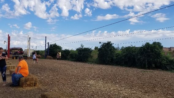 Vertuccio Farms
