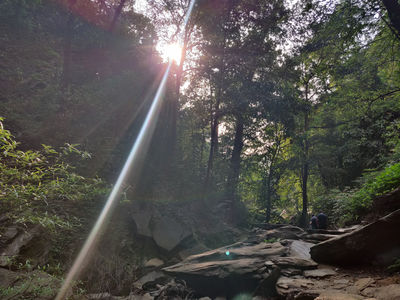 Koodlutheertha Falls