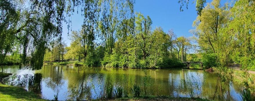 Henri Dunant park