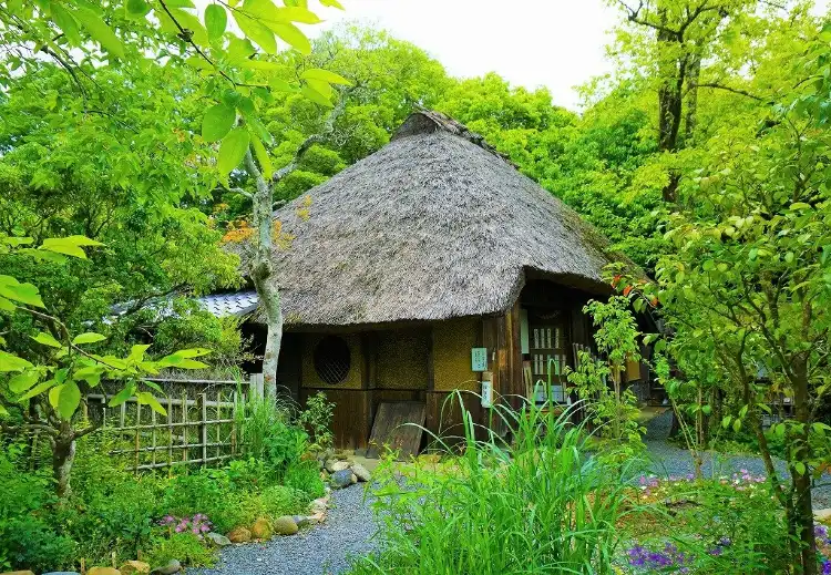 Hotels near Rakushisha