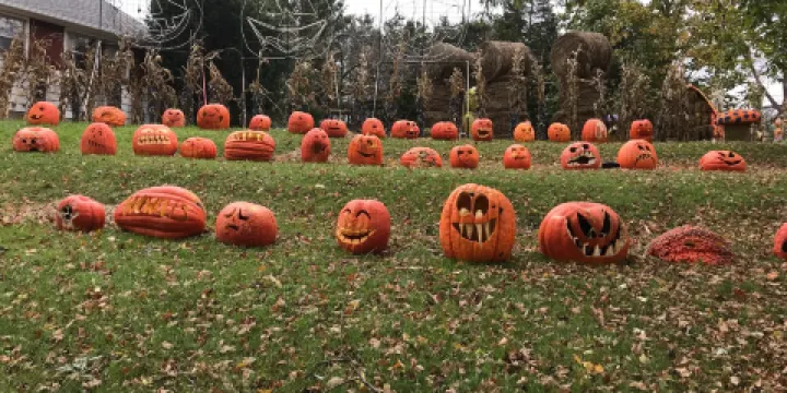 Howell Family Pumpkin Farm
