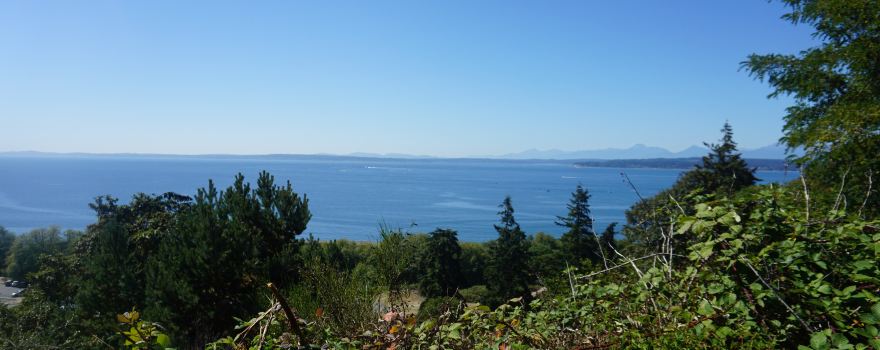 Shoreline