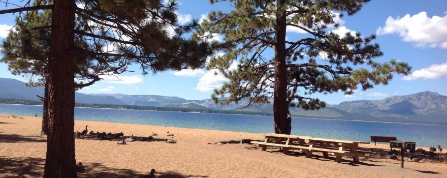 Nevada Beach