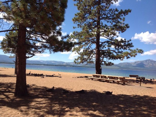 Nevada Beach