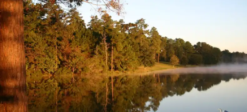 Hotels in Sabine Parish