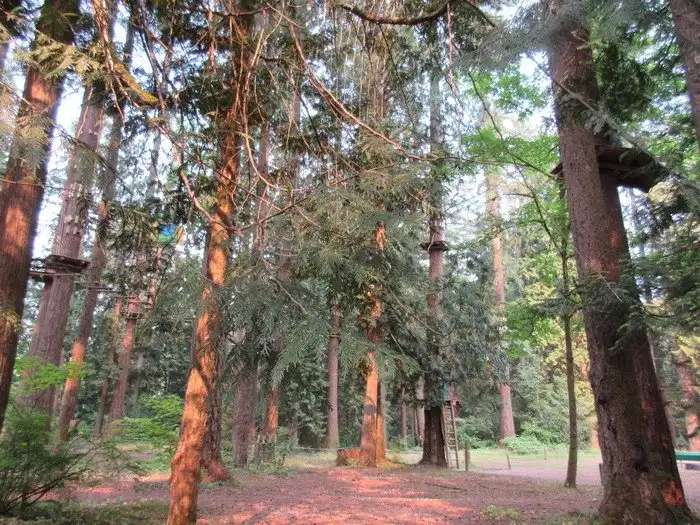 Отели рядом с достопримечательностью «WildPlay Element Parks Maple Ridge»