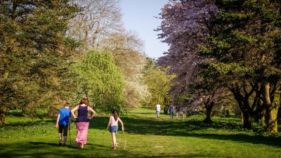 Castle Howard Arboretum