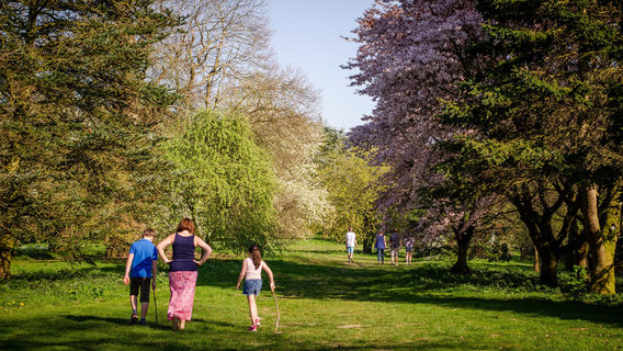 The Yorkshire Arboretum