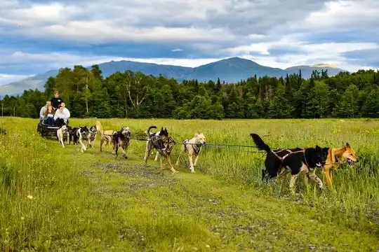 Hotels in Coos County