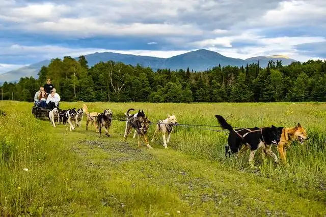 Hotels near Muddy Paw Sled Dog Kennel
