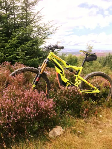 Coed Llandegla Forest