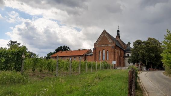 Dominican Church and Convent of St. James, Sandomierz