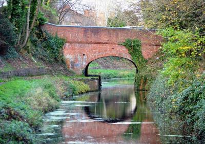 Bridgwater