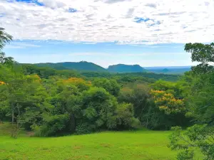 Eco Reserva Mbatovi