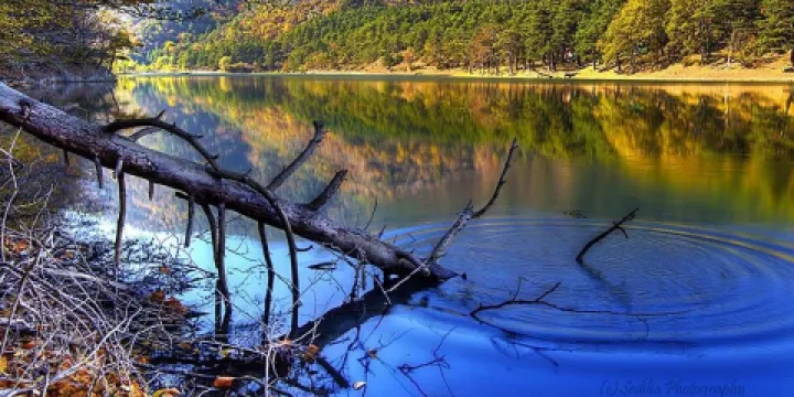 Boraboy Golu Tabiat Parki