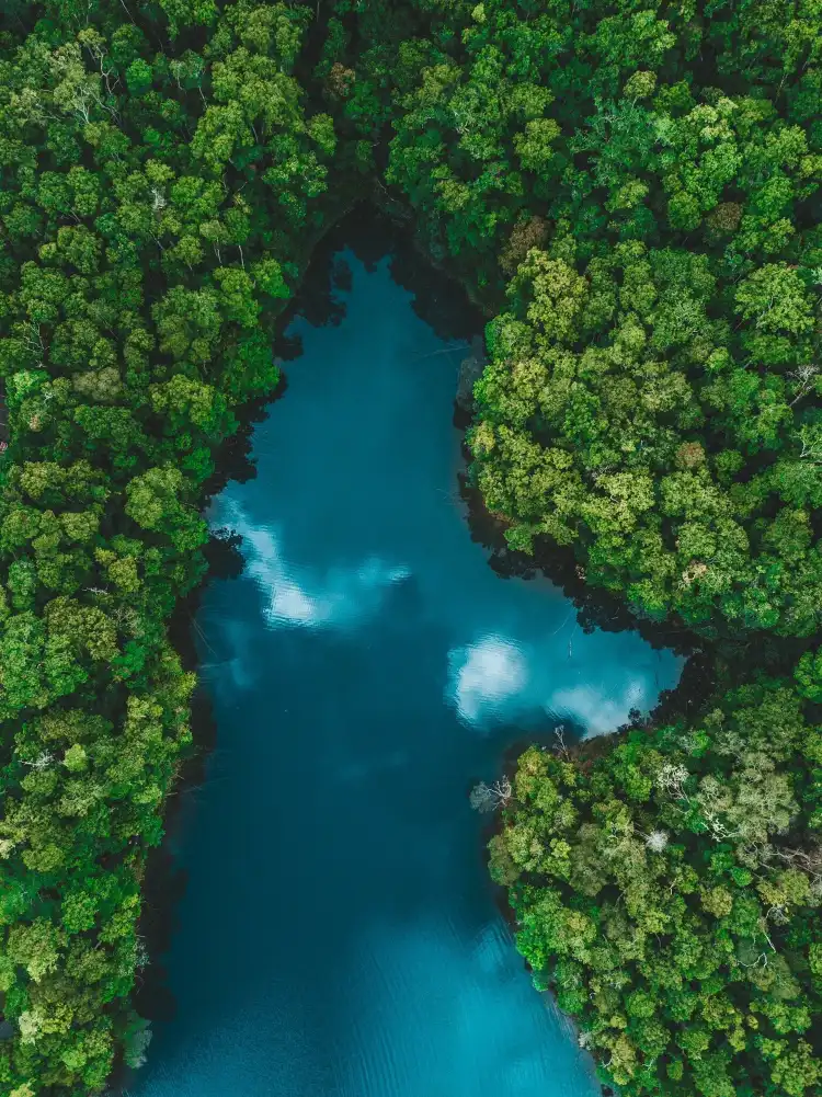 Hotels in Lake Eacham