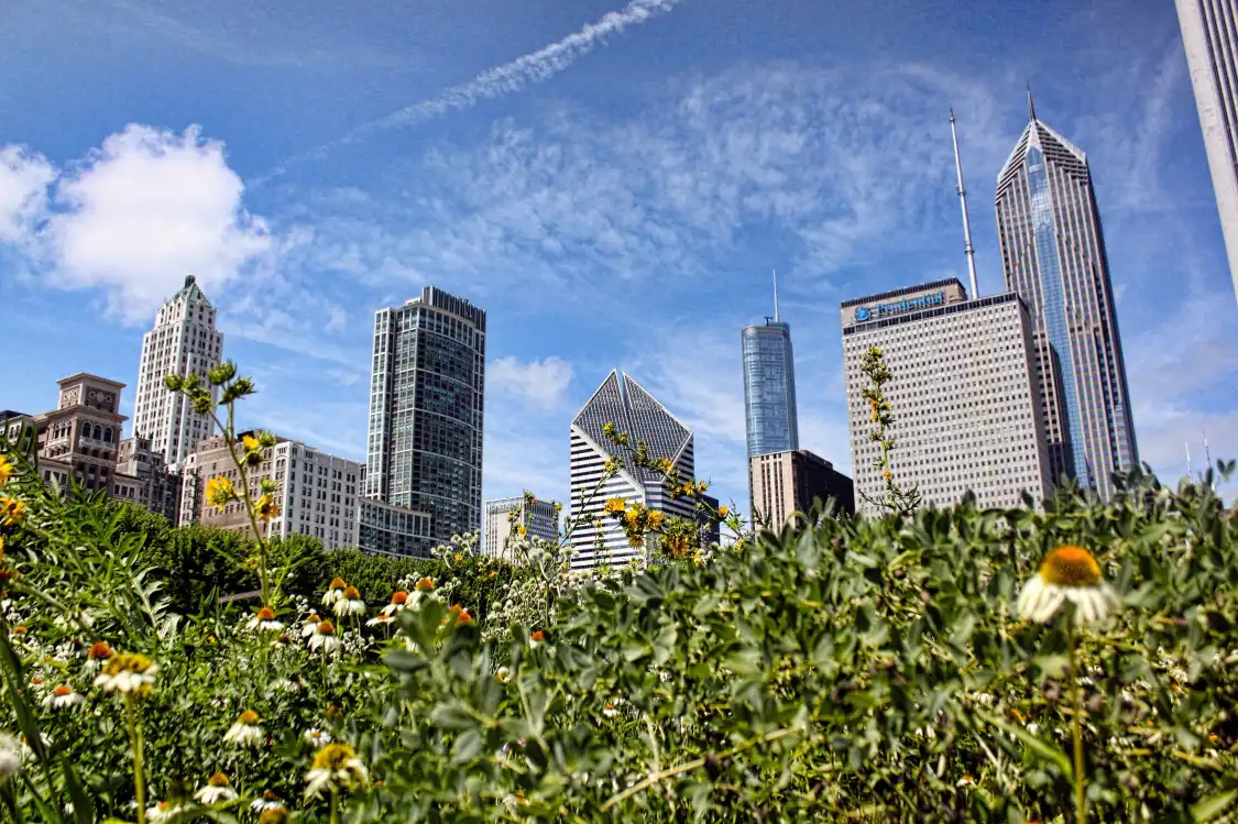 Hotels near Lurie Garden