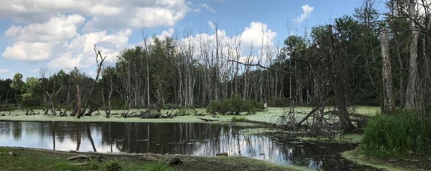 Eagle Marsh Nature Preserve