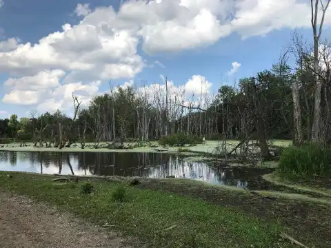Hilton Garden Inn Properties in Aboite Township