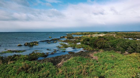 Williamstown