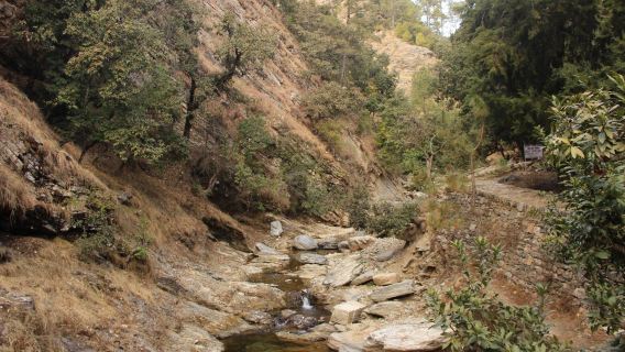 Bhalugaad Waterfall (Mukteshwar)