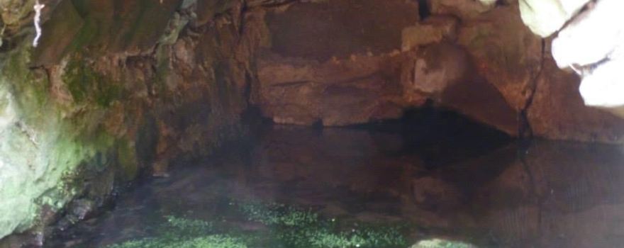 Libbet's Well