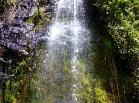 Waterfalls Inn Tigoni