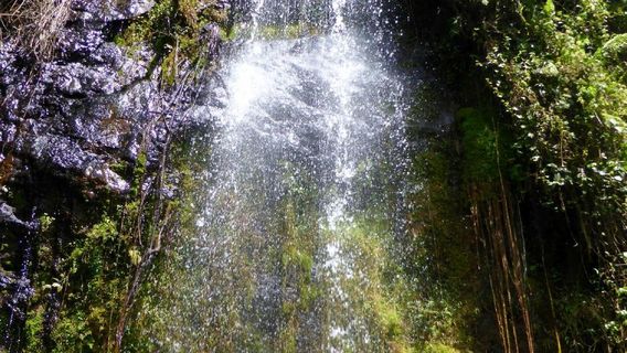 Waterfalls Inn Tigoni