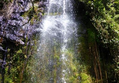 Kiambun piirikunta