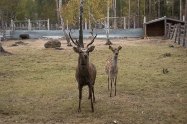 Акмолинська область