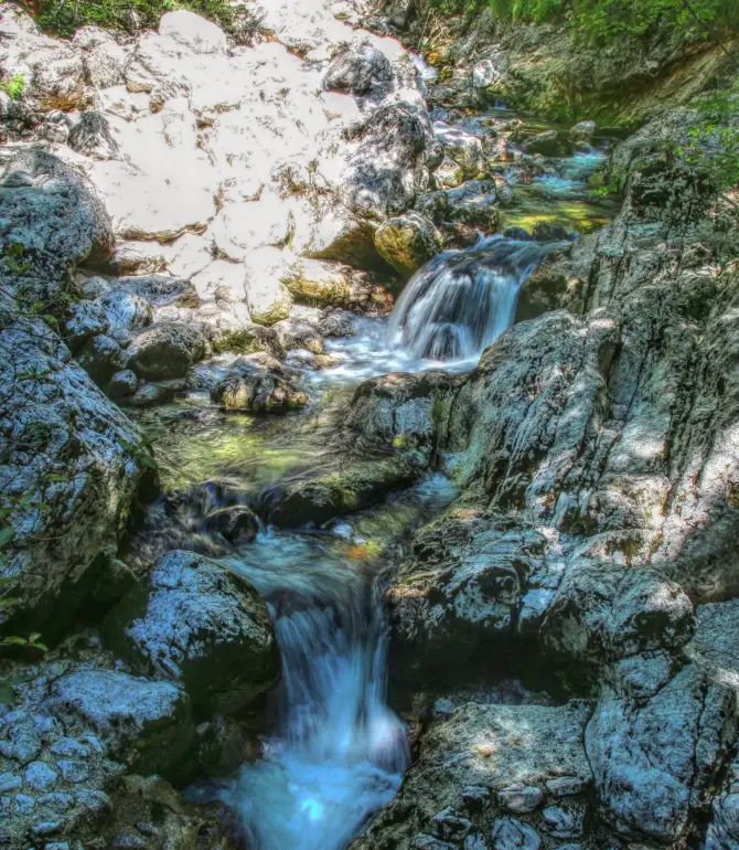 Bohinjska Bela