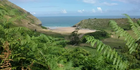 Ermita Virgen del Refugio