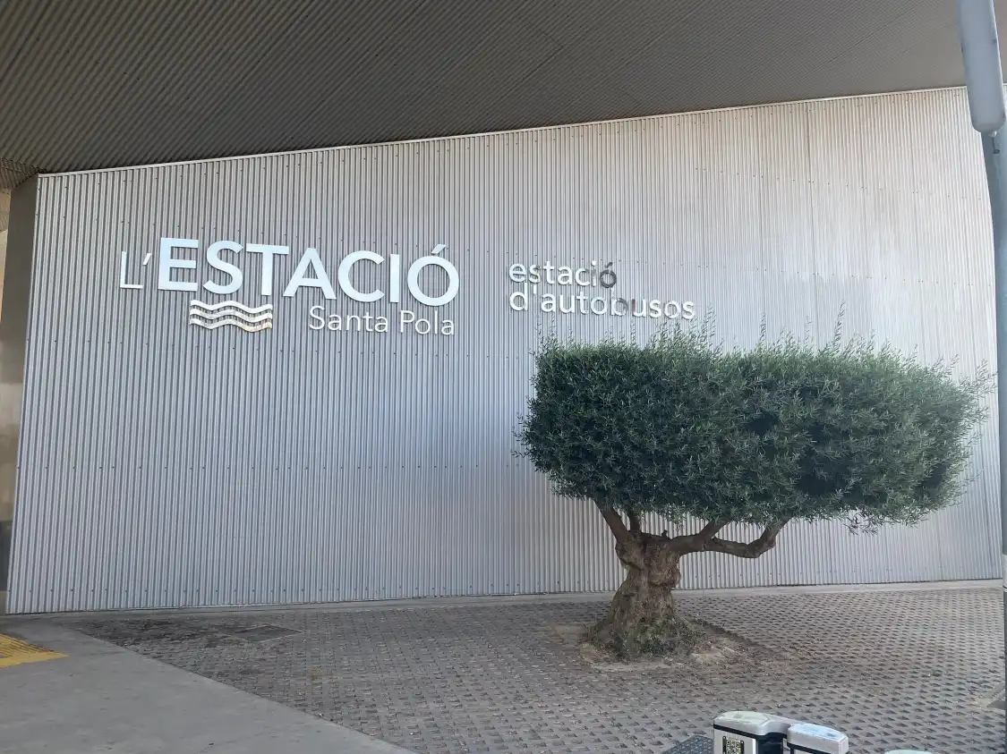 Hotels near Estacion Autobuses Santa Pola