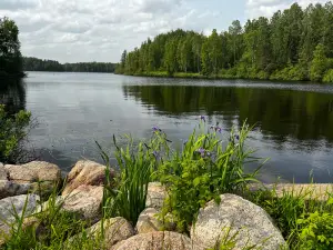 Chequamegon-Nicolet National Forest