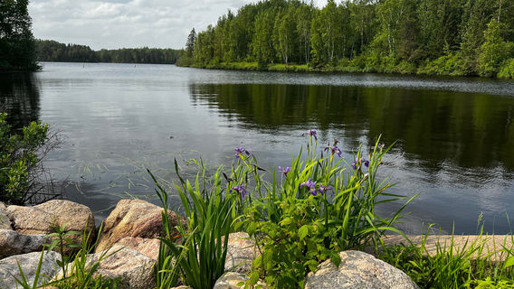 Chequamegon-Nicolet National Forest