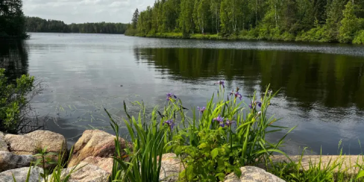 希夸默根-尼古萊特國家森林