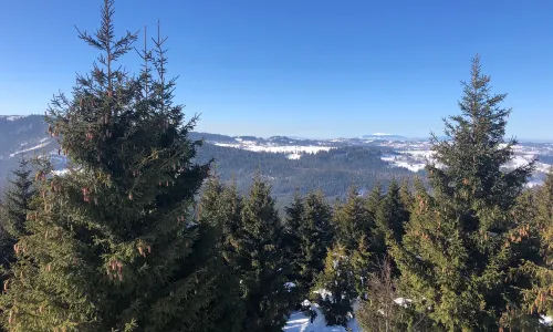 尤爾古夫滑雪度假村