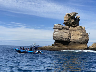 Feeling Berlenga