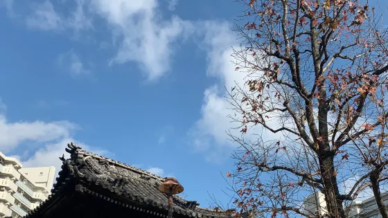 松源寺
