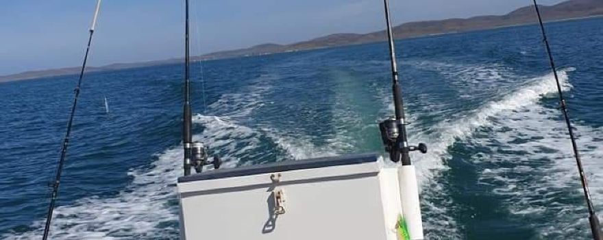 Fitzgerald Bay
